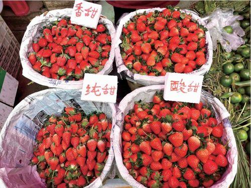 水莓100国产,探寻100国水莓种植奥秘